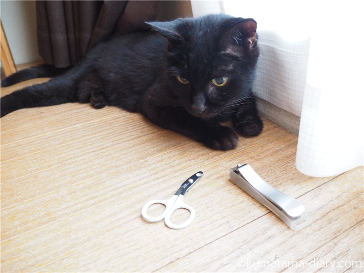 ネコ専用の爪切り「猫 爪切り 国産 SUWADA nekozuki ニッパー ブラック」を買いました