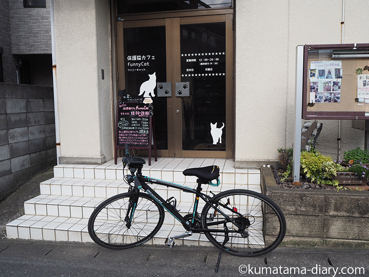 クロスバイクで猫カフェへ