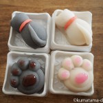 茶道具 青峰堂の和菓子「猫のねりきり」は可愛くておいしいです(ΦωΦ)
