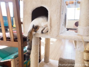 futon