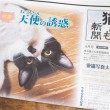 月刊猫とも新聞6月号