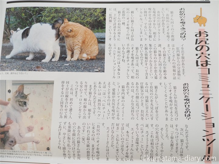 猫とも新聞