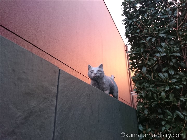 夏目漱石旧居跡の猫さん