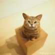 キジトラ猫さん木彫り