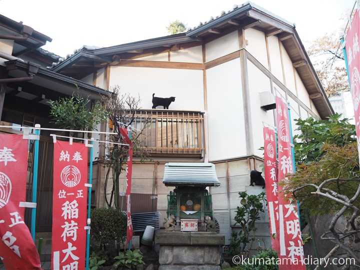 稲荷神社の黒猫さん