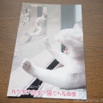 赤坂ジャローナ「我が家の自慢の猫たち写真展3」のお知らせ
