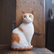 茶トラ白猫木彫りたまき