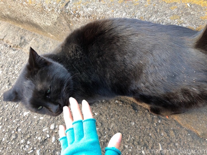 指先をにおう黒猫さん