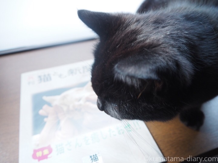 月刊猫とも新聞とふみお