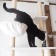 キャットタワーふみおと木彫り猫