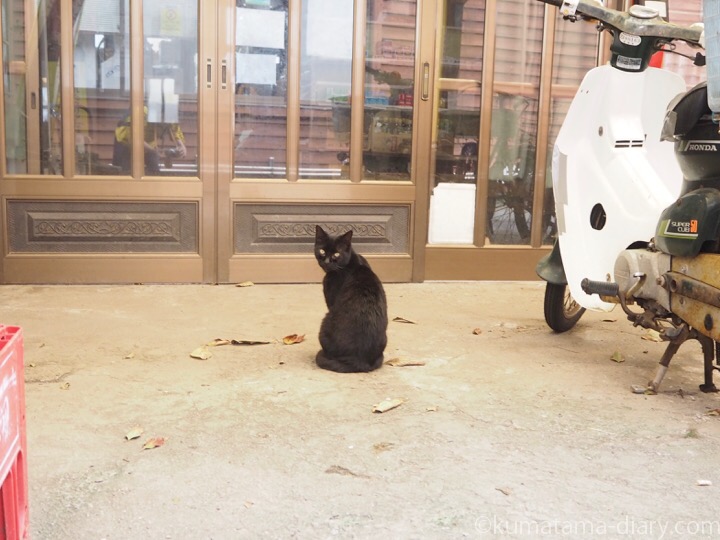 相島 黒猫さん