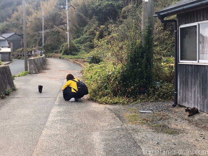 相島の黒猫さんと私