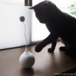 pidan 電動猫おもちゃボールとふみお