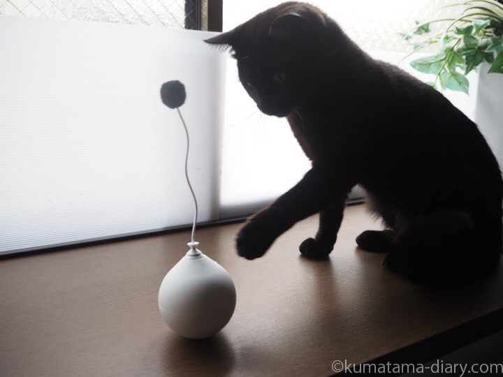 pidan 電動猫おもちゃボールとふみお