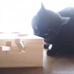 【木製の猫おもちゃ】モグラ叩きで遊ぶ猫