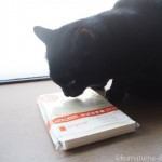今年も猫の体調管理ノートは「ほぼ日手帳」を使います