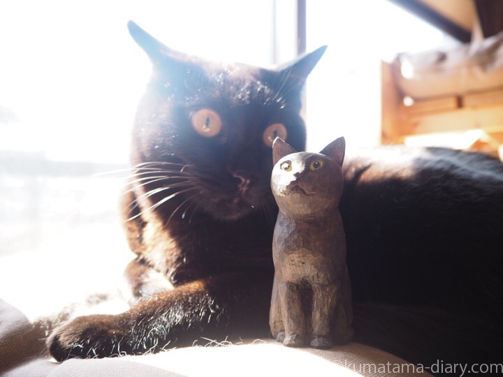 ふみおと木彫り猫
