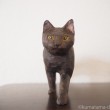 歩く黒猫の木彫り猫