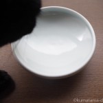 食事がしやすい猫用食器「まんまボウル ごはん用M」をnekozukiで買いました