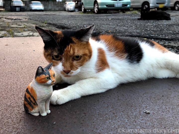三毛猫さんと木彫り猫