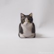 香箱黒白猫さん木彫り猫