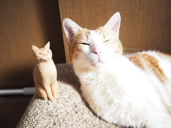 木彫り猫とたまき