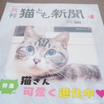 『月刊猫とも新聞』2021年5月号の特集は「猫さん可愛く進化中」です