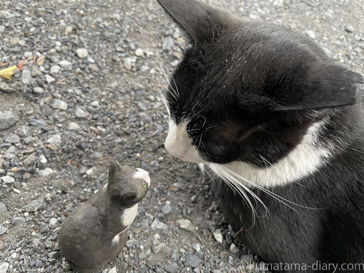 黒白猫さんと木彫り猫