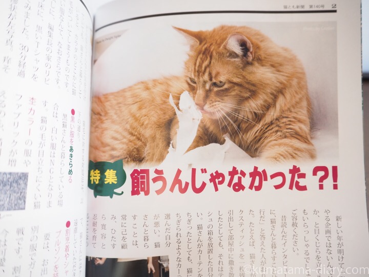 月刊猫とも新聞