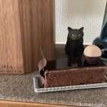 【月命日】猫が好きだったチョコレートケーキ