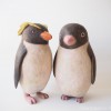 イワトビペンギンとアデリーペンギン