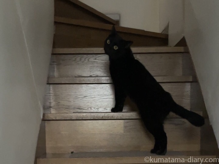 階段ふみお