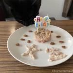 猫の誕生日をお祝いしました