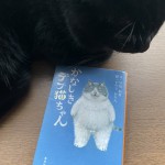 愛媛を旅する猫さんの童話「かなしきデブ猫ちゃん」を読みました