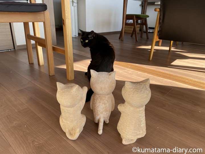 ふみおと木彫り猫