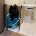 猫のトイレをひとつに減らしました