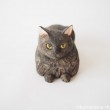長毛黒猫木彫り猫