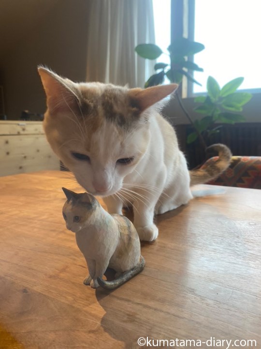 木彫り猫と猫さん