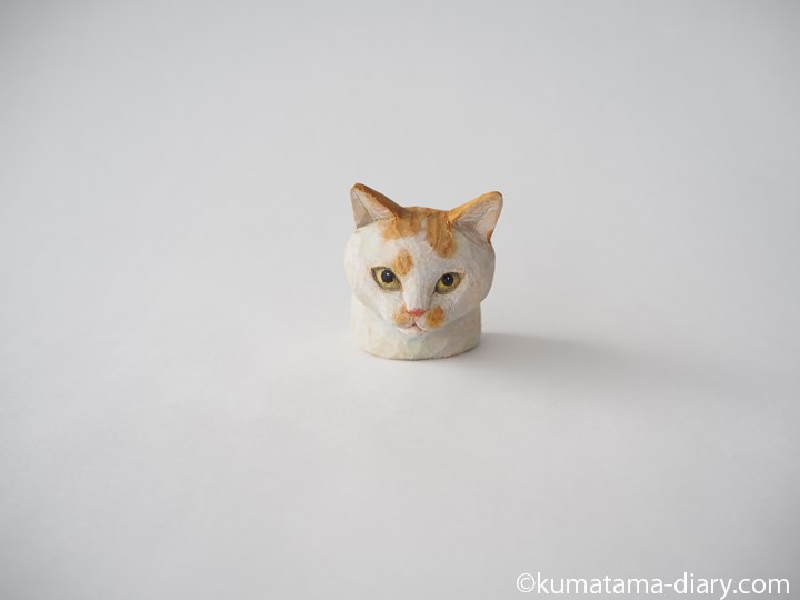 茶トラ白猫さん頭部