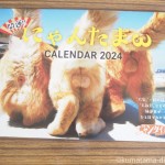 「開運!! にゃんたまω カレンダー2024」を買いました