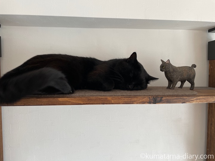 木彫り猫とふみお