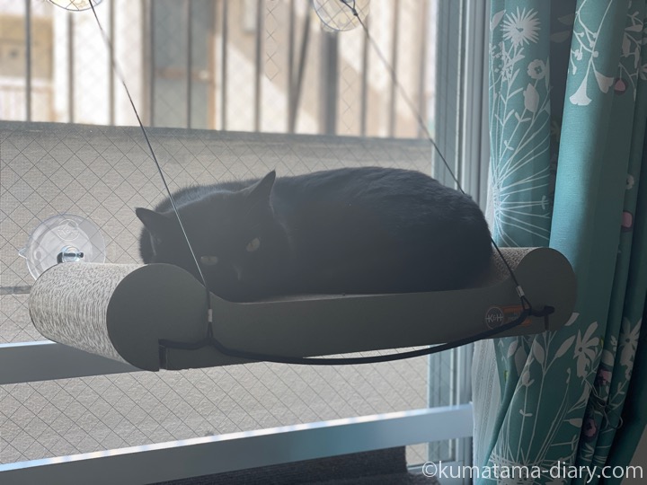 猫用窓ベッド