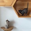 六角ハウス木彫り猫