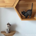 【MYZOO】六角ハウスの木彫り猫