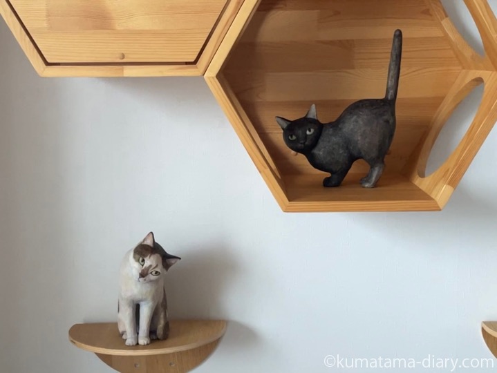 六角ハウス木彫り猫