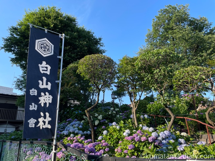 白山神社