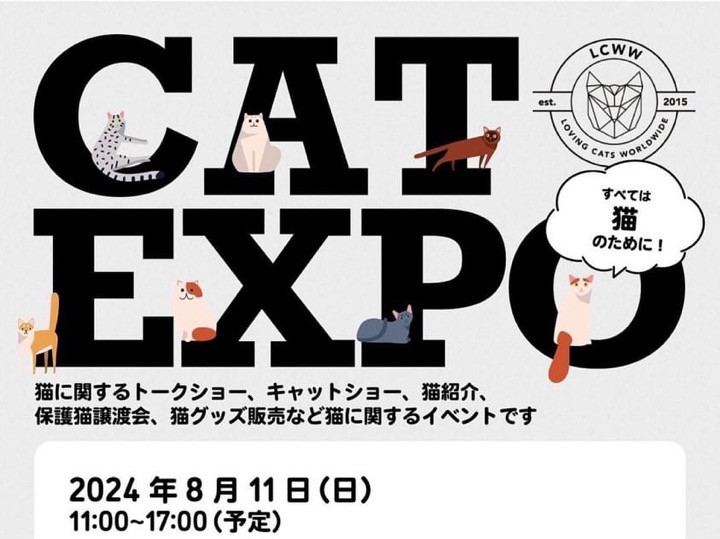 CAT EXPO