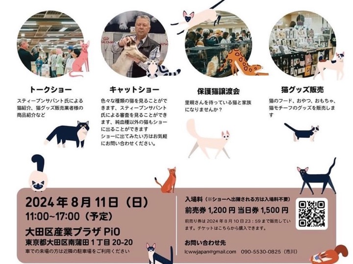 CAT EXPO