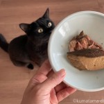 「ねこ様用」を食べる猫