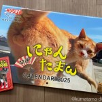 「開運!! にゃんたまωカレンダー2025」を買いました